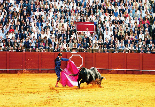 Paracaidismo