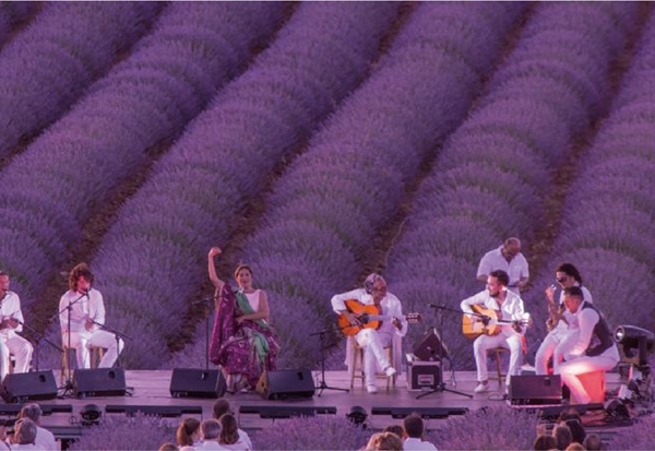 Feria de lavanda