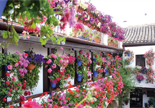 Mayo - Los Patios en Cordoba